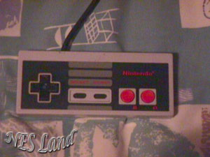 nescontroller.jpg